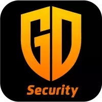 Go Security