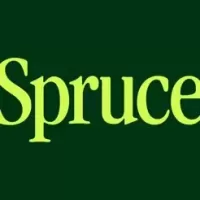 Spruce &#8211; Mobile banking