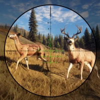 Wild Hunting Clash-Shooting