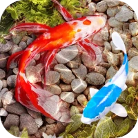 3D Fish Tank Live Wallpaper