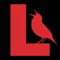 Learn Bird Watching&#8212;Larkwire